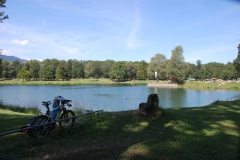 Erfrischung im Freibad